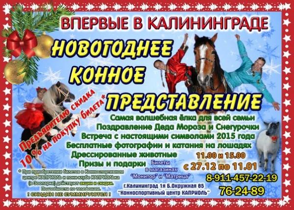 Конноспортивный центр «Каприоль» приглашает на новогоднее конное шоу!
