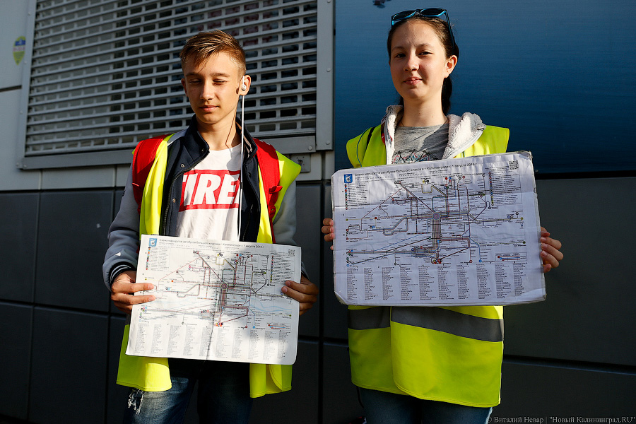 Неуловимый мститель: хроника борьбы мэрии с пошедшим ва-банк «БалтАвтоЛайном»