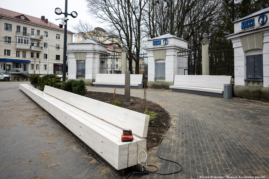 В трех соснах: как выглядит благоустроенная территория у стадиона «Балтика» (фото)