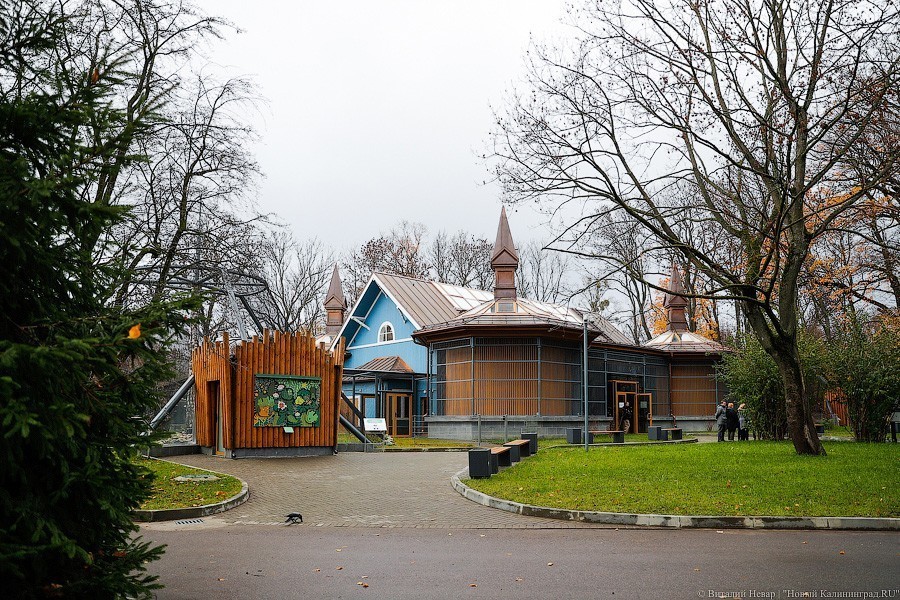 В зоопарке открыт Дом тропической птицы. Посмотрите на жако и спящего трубкозуба