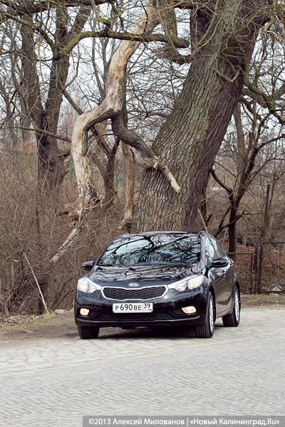 «Стильное совершенство»: обзор нового KIA Cerato третьего поколения