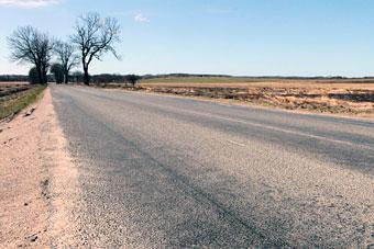 В Калининградской области автомобильные права имеют более 400 тысяч жителей