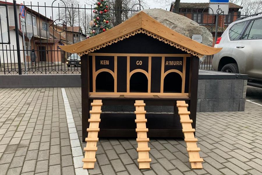 Зеленоград город кошек