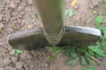 Под Ладушкиным неизвестные раскопали солдатские могилы