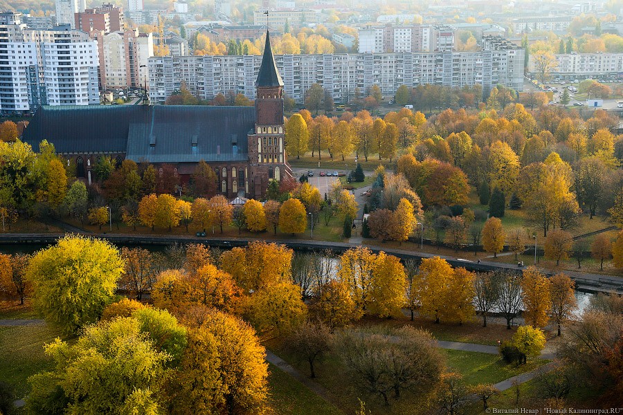 Свадьбы попроще, напитки покрепче и закон Яровой: нововведения октября