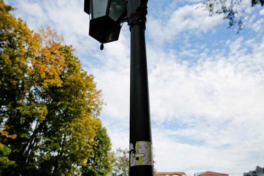 Блеск и нищета: что происходит с набережной Нижнего озера в Калининграде