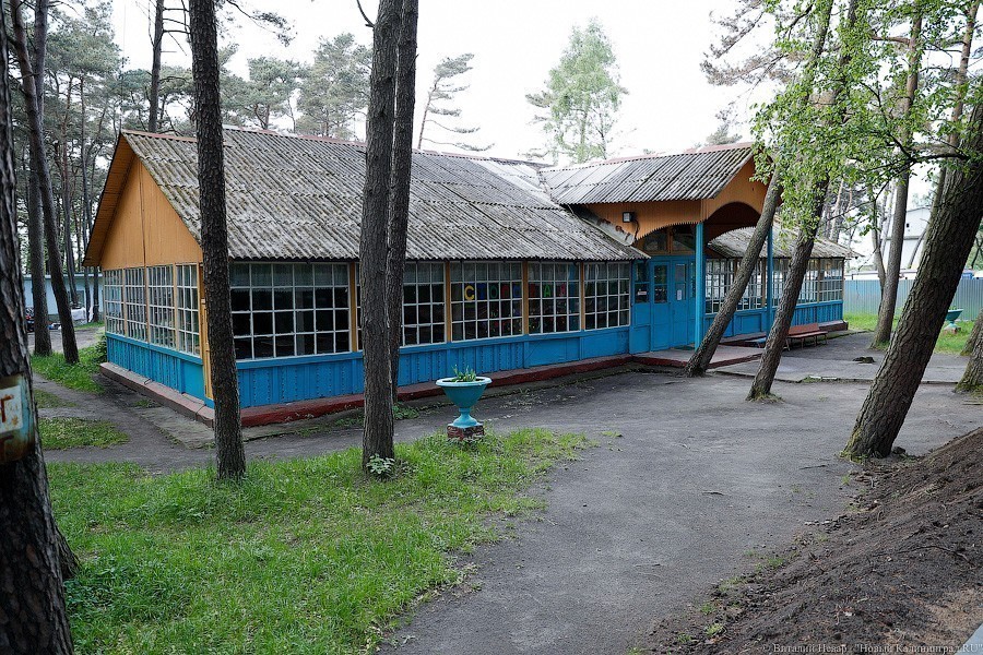 Санэпиднадзор не принял три калининградских загородных лагеря отдыха