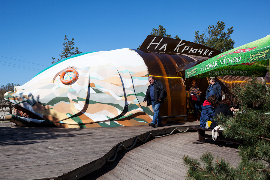 «Надо что-то делать, это нереально»: Куршская коса едва справляется с турпотоком