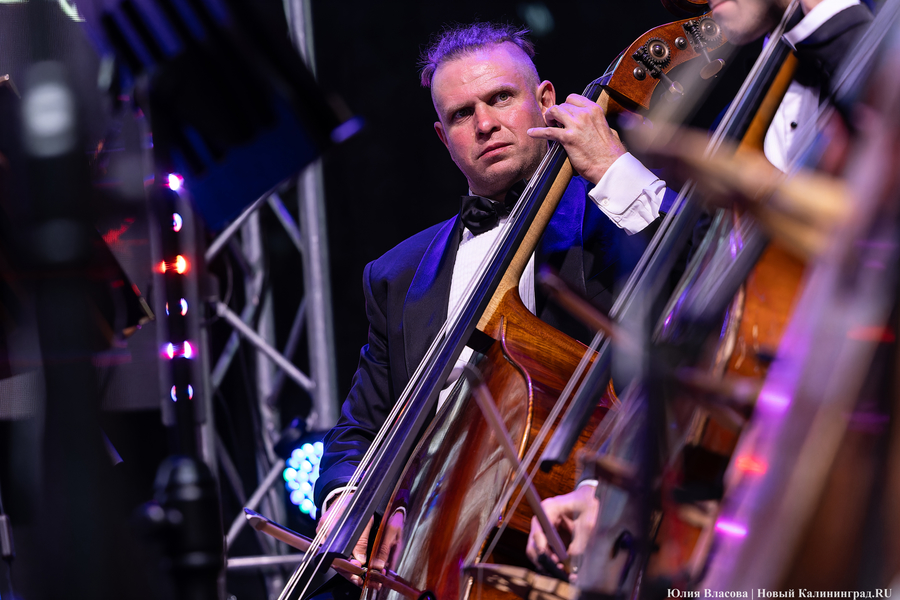 «Территория мира — Территория музыки»: как проходит open-air классической музыки