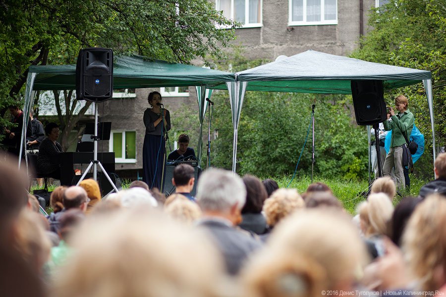 Музыка под балконом: в Калининграде прошёл фестиваль «Когда звучат улицы»