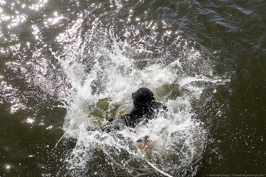 Форма в воде: на Балтике прошли учения противодиверсионного отряда (фото)