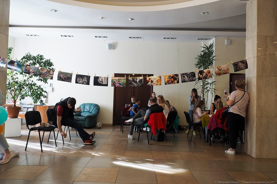 Традиционное осеннее добро: как прошел Благотворительный фестиваль шарлотки