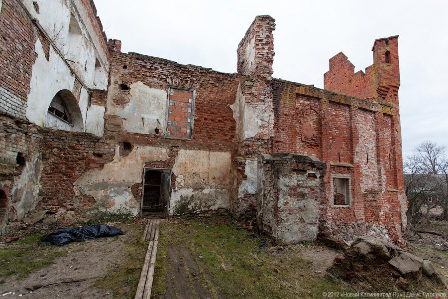 «Шаакен, волонтеры и кот Воровай»: фоторепортаж «Нового Калининграда.Ru»