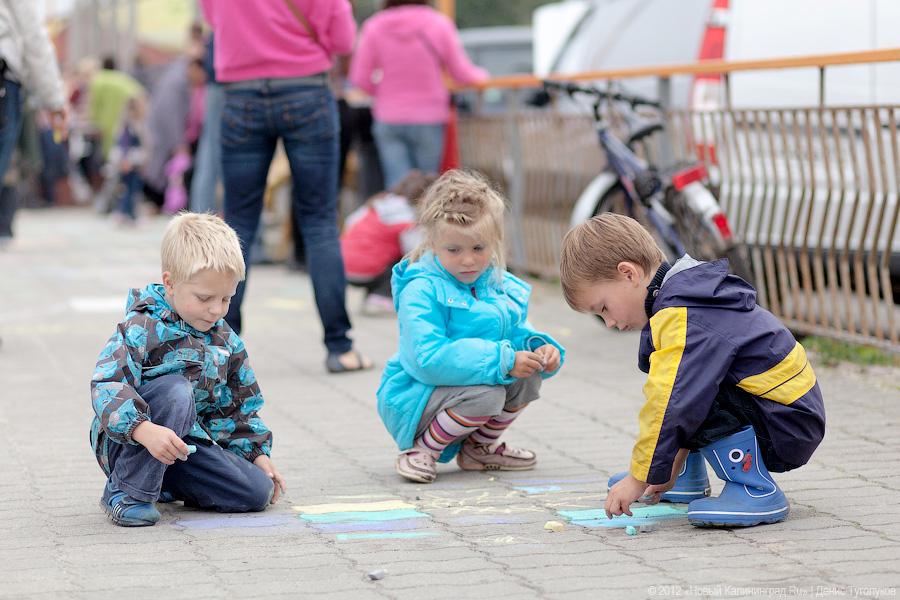 «Укротители кайтов»: фоторепортаж с фестиваля воздушных змеев