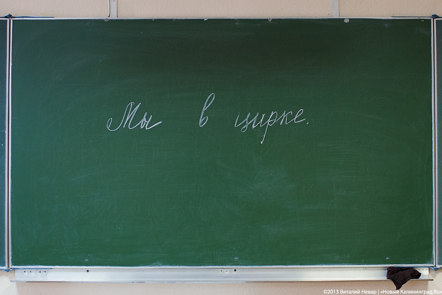 Васильева озвучила среднюю зарплату учителей в России