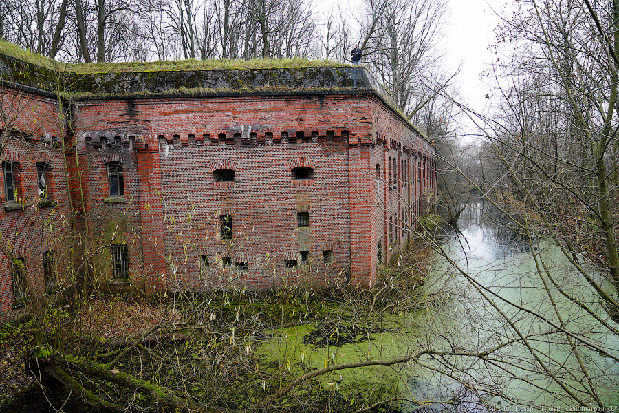 Виталий Невар / Новый Калининград