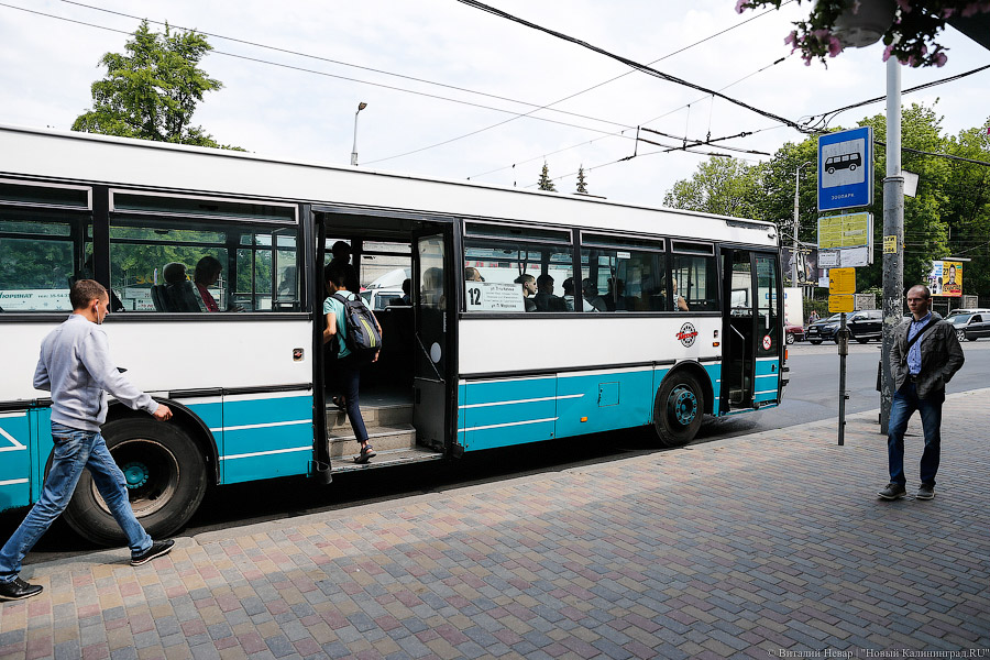 В Калининграде автобус сбил пенсионерку на пешеходном переходе на Радищева