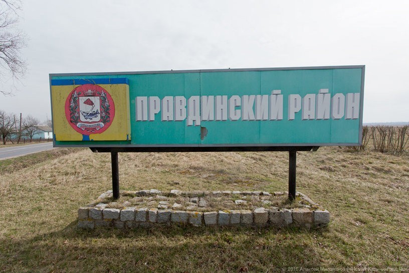 Очаг АЧС выявлен рядом с питомником свиней в Правдинском округе