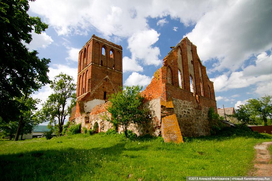 Навоз и куры: кирха 14-го века в поселке Каштаново стала пастбищем для скота