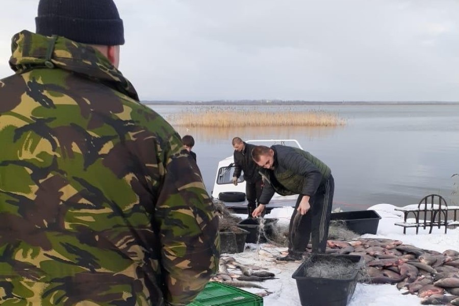 СОБР и рыбоохрана изъяли у браконьеров в Калининградском заливе 400 кг рыбы