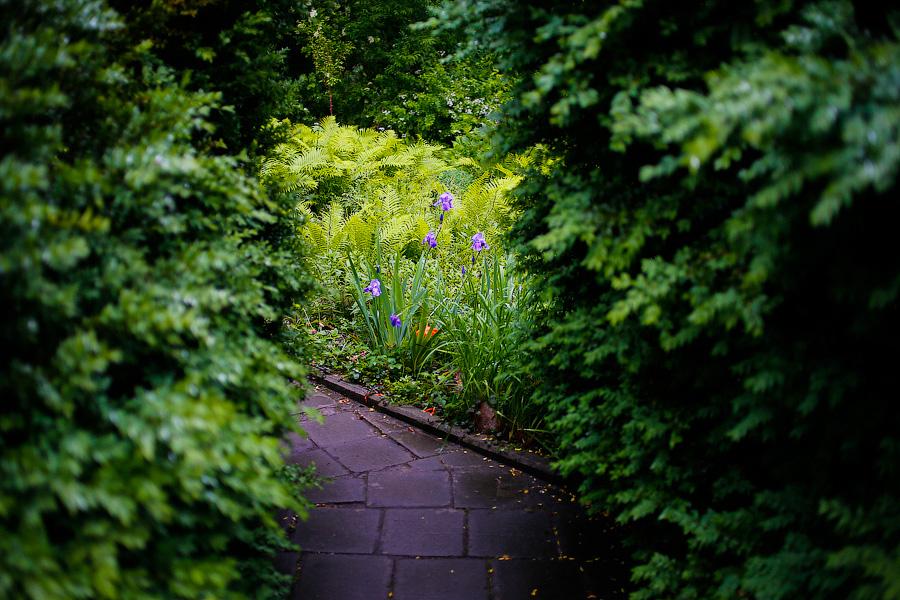 На неведомых дорожках: дендропарк калининградского Экоцентра