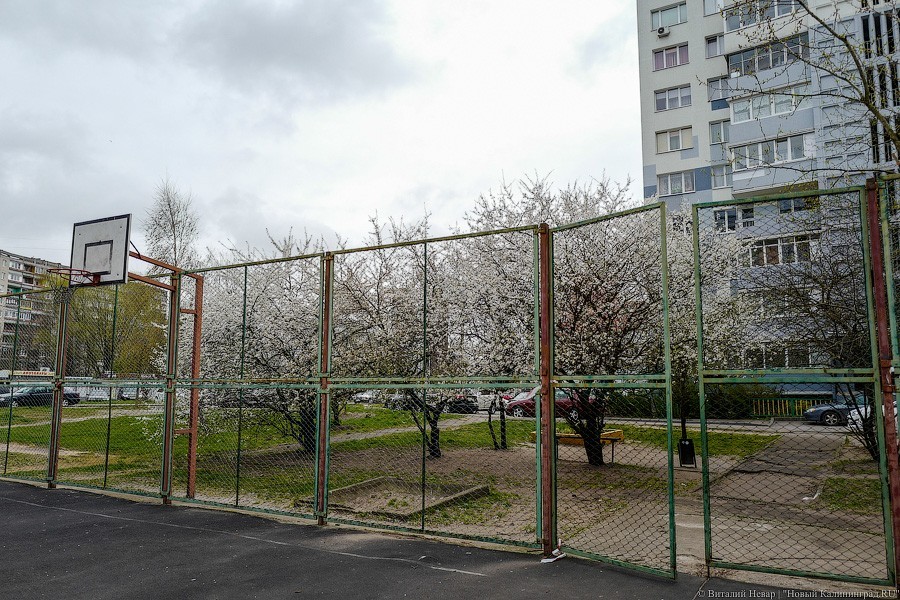 «Дети болеют и дети заражают»: как выглядит борьба с COVID-19 на детских площадках