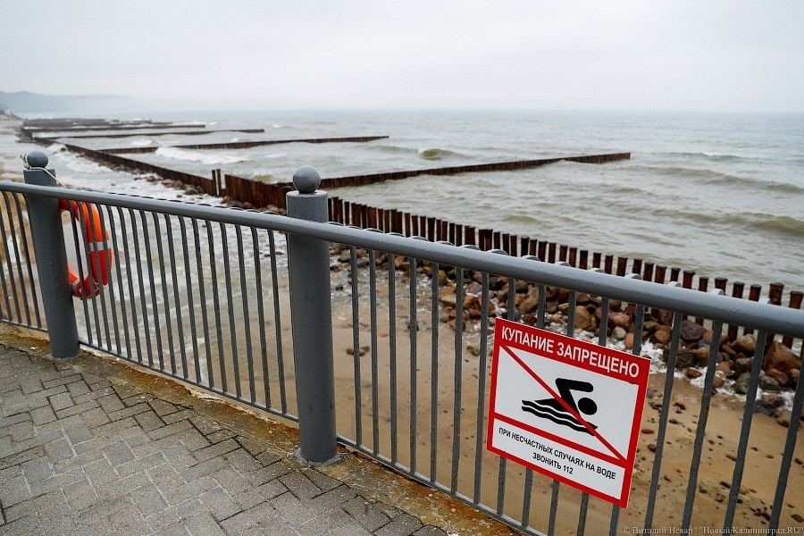 Много лиственницы и чуть песка: как выглядит светлогорский «пляж»  