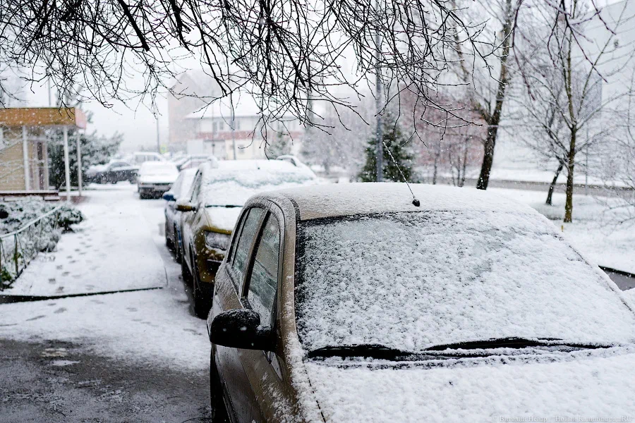 Пасмурно, дымка, временами снег: погода в Калининградской области 28 января