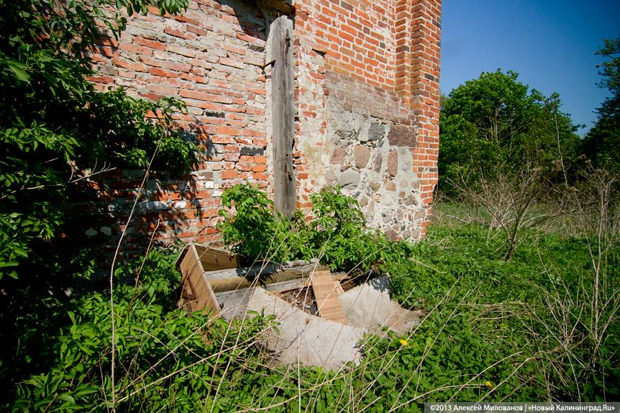 «Фрески и аисты»: вокруг кирхи в посёлке Кумачево идёт судебная тяжба