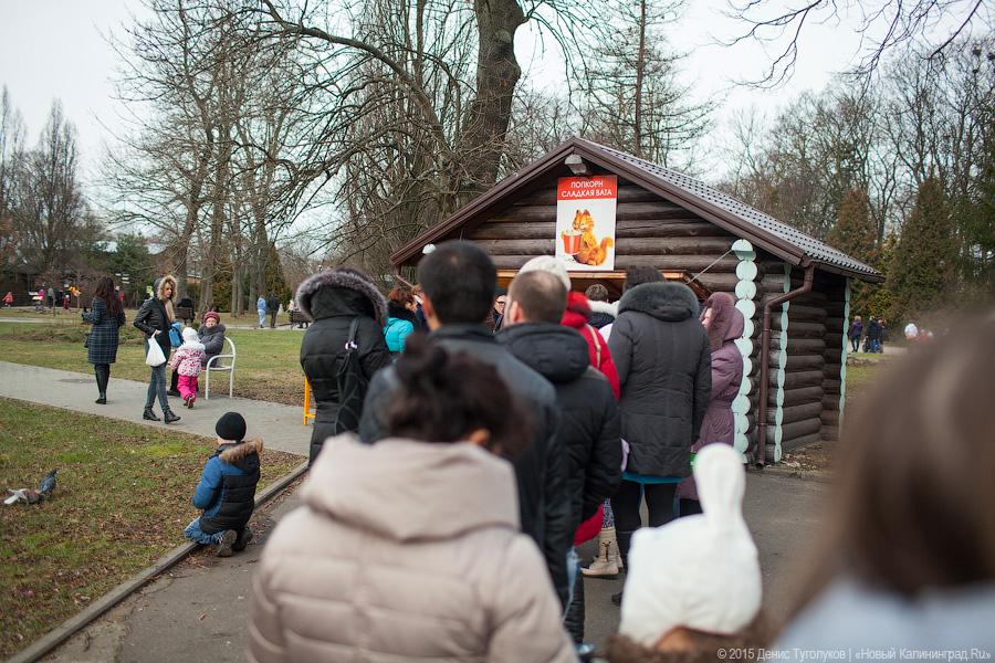 Продвинутое средневековье: как люди и звери Масленицу отмечали