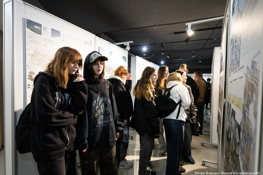 «Гнёзда» на Филинской бухте: проект из Москвы получил первую премию «ЭкоБерега» (фото)