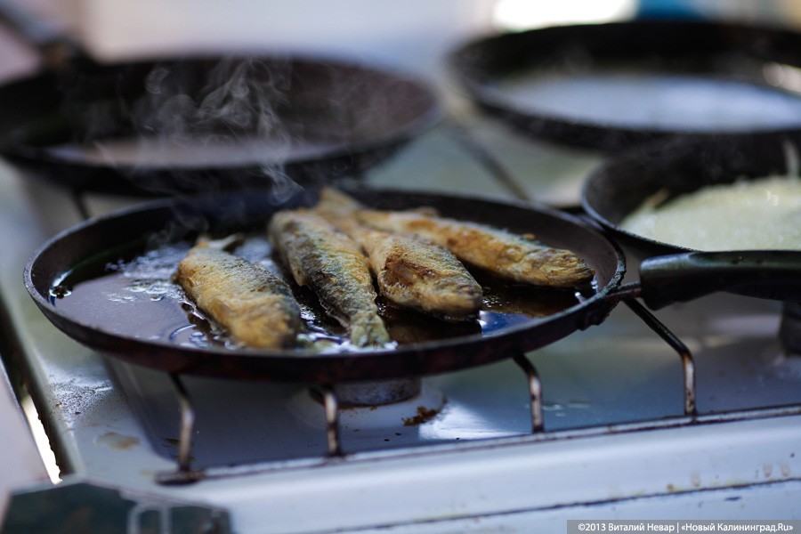 Фото — Виталий Невар, «Новый Калининград»