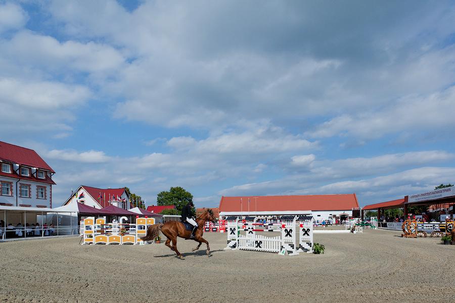 «Шляпки, лошади, конкур»: фоторепортаж «Нового Калининграда.Ru»