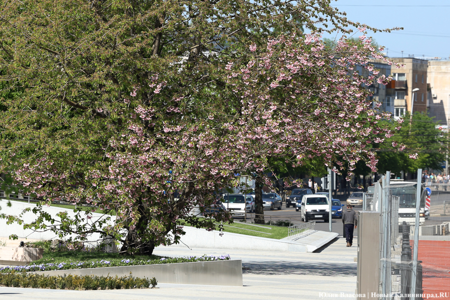 На площади у Дома искусств завершается благоустройство. Вот как она выглядит (фото)
