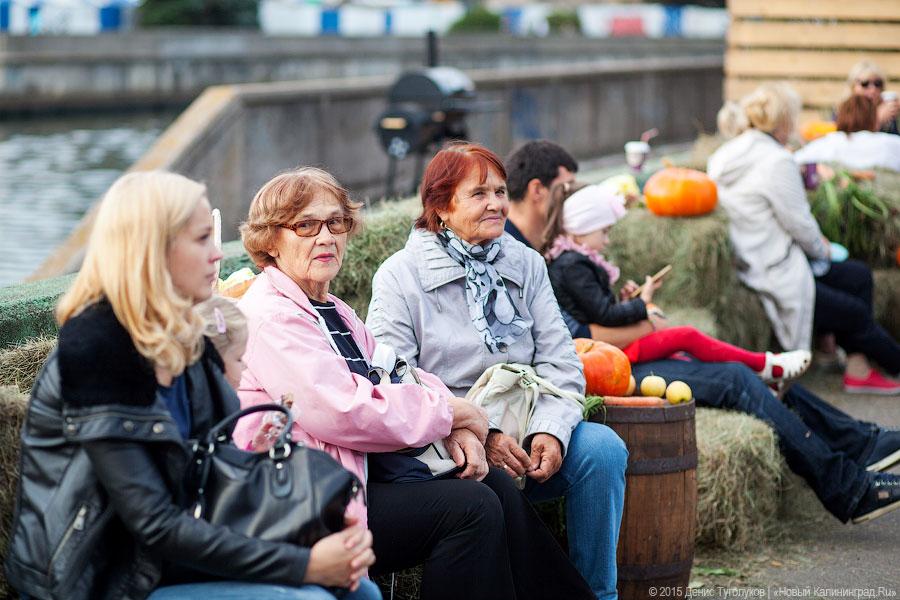 Кант был бы сыт: на острове стартовал «Street Food Weekend-2015»