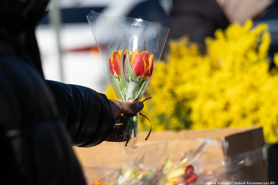 Цветочные баррикады: как выглядят улицы Калининграда 8 марта (фото)