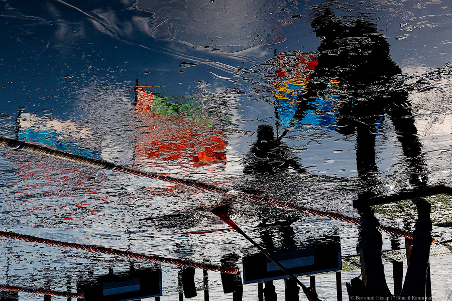 Время моржей: в  Калининграде прошли соревнования по зимнему плаванию (фото)