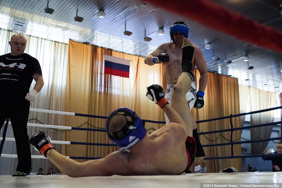 «Сопли в сторону»: фоторепортаж с Чемпионата области по смешанным единоборствам