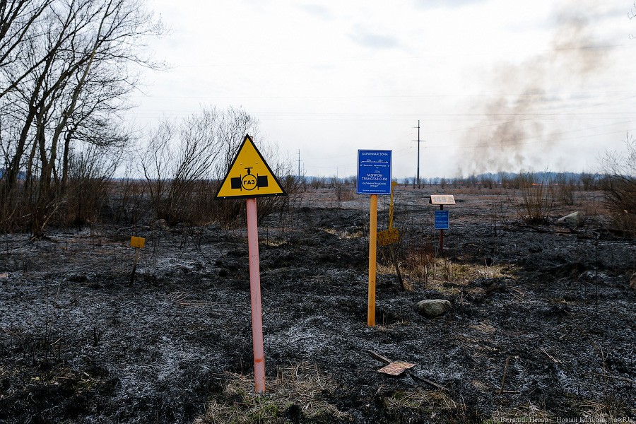Объявлен конкурс на достройку газопровода в Балтийск
