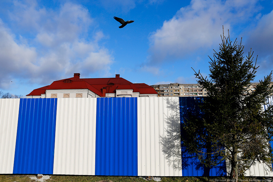 Фото — Виталий Невар, «Новый Калининград.Ru»