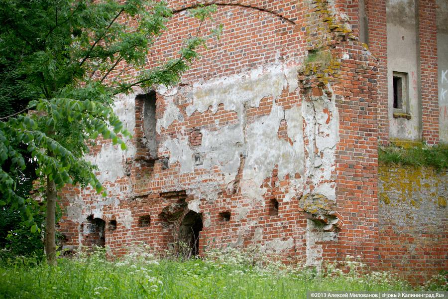 Часы и вороны: кирха в поселке Ушаково приходит в упадок
