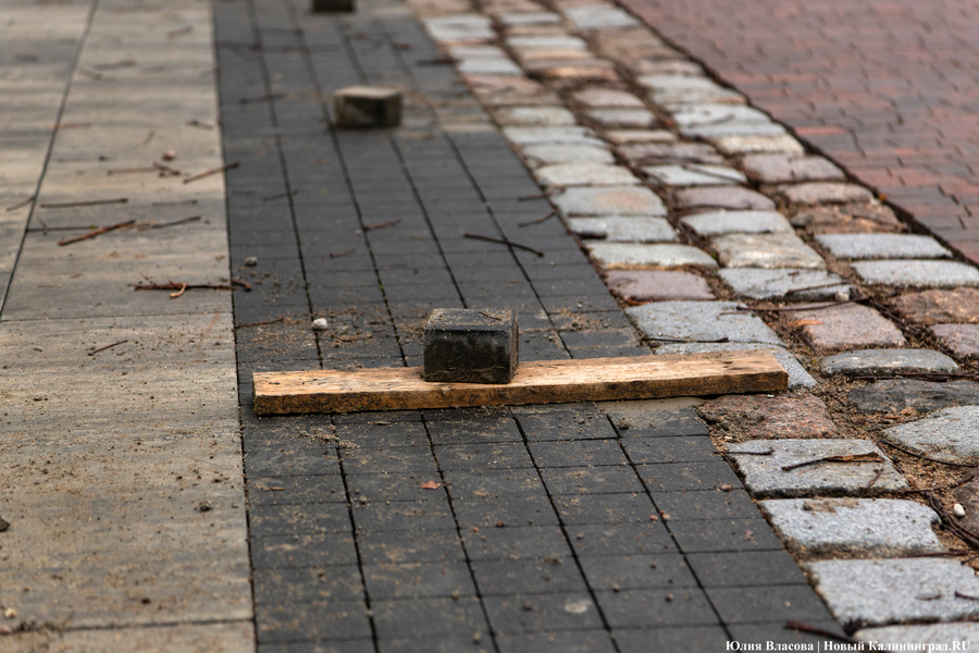 50 оттенков коричневого: как выглядит после ремонта Фестивальная аллея (фото)