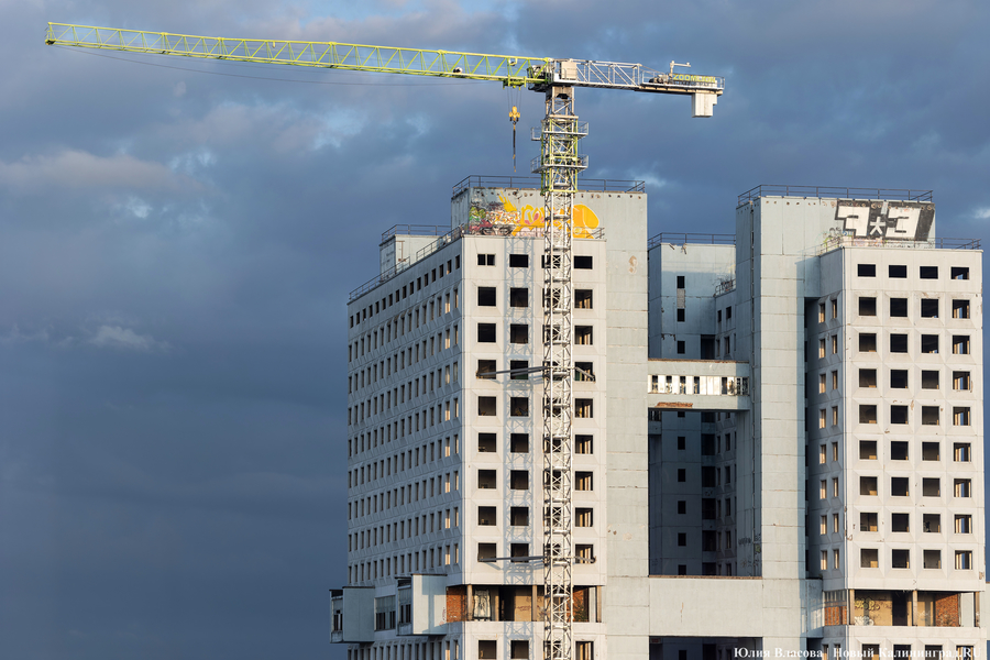 Фото: Юлия Власова / «Новый Калининград»