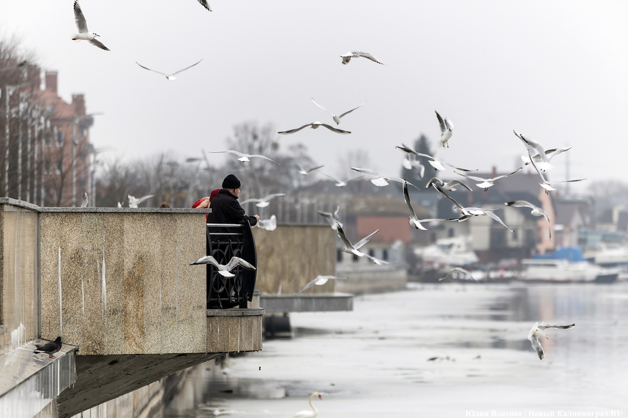 Провал за провалом: что стало с набережной Трибуца за семь лет эксплуатации (фото)
