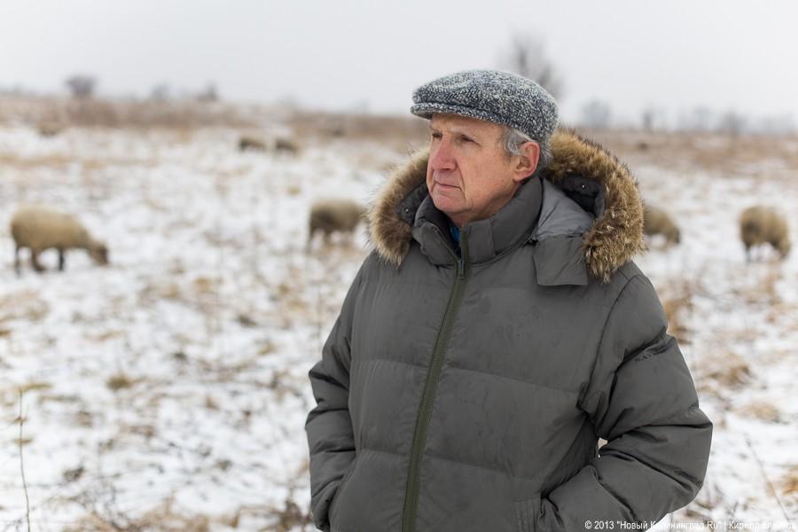 Фермер Сергей Семенов: «Тринадцать минут — и с барана китель снят»