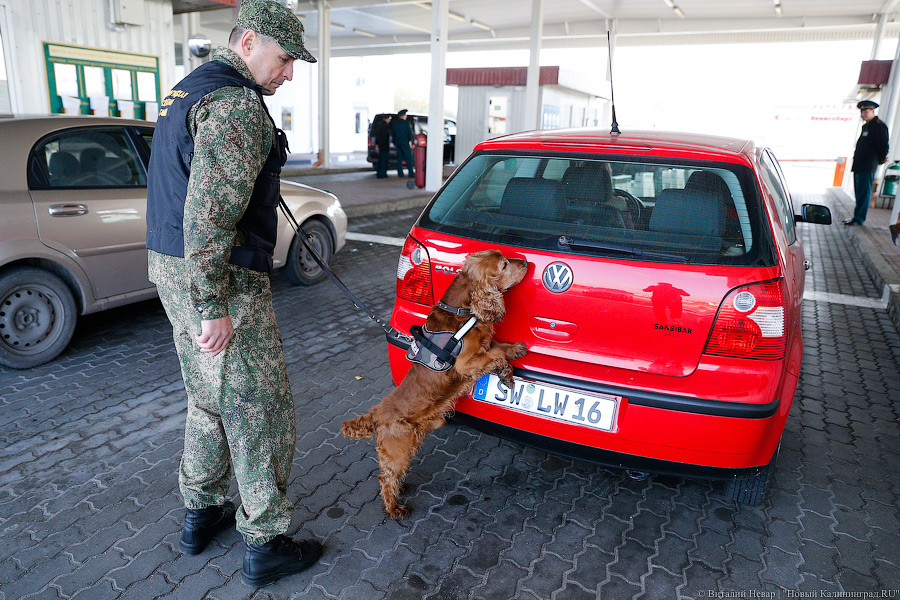 В погранслужбе посчитали, сколько иностранных туристов въехало в Россию в 2020 году