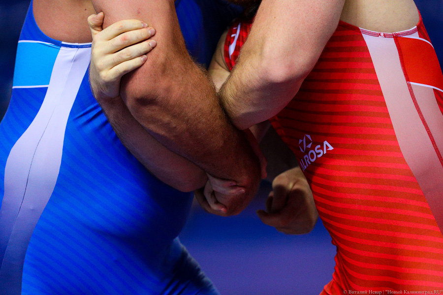 Просто мощь: чемпионат России по греко-римской борьбе идет в Калининграде (фото)