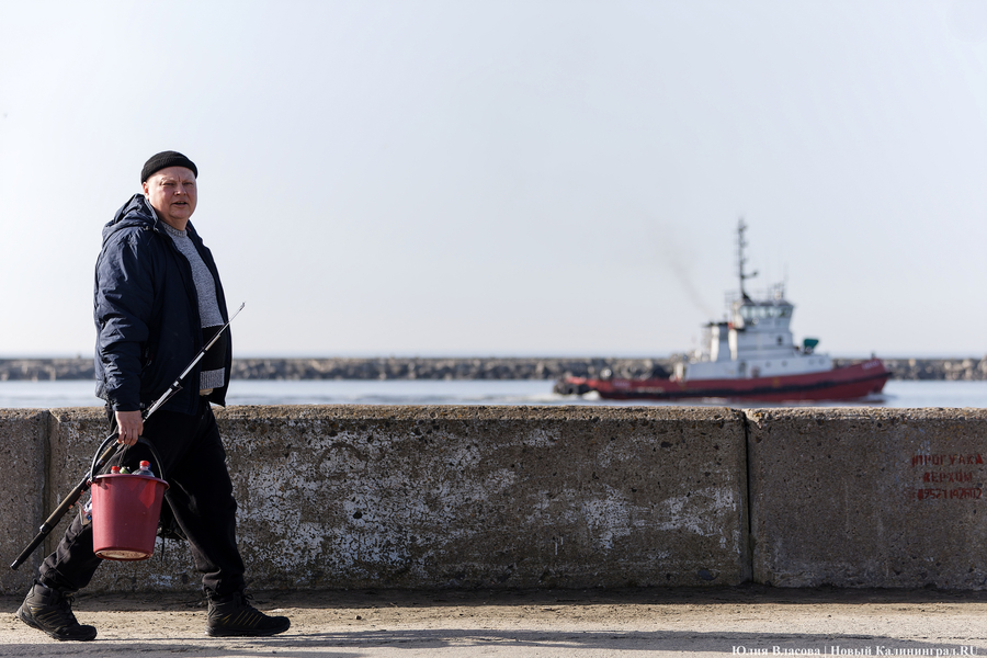 По несколько рыбин за раз: в Балтийске начался массовый лов салаки