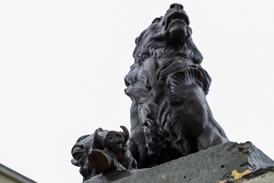 Звери из бронзы: на входе в Калининградский зоопарк установили новые скульптуры (фото)