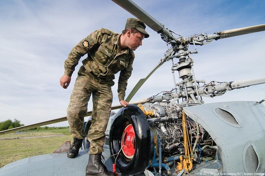 "Прилетит вдруг волшебник": фоторепортаж "Нового Калининграда.Ru"